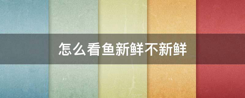 怎么看鱼新鲜不新鲜（怎么看鱼新鲜吗）