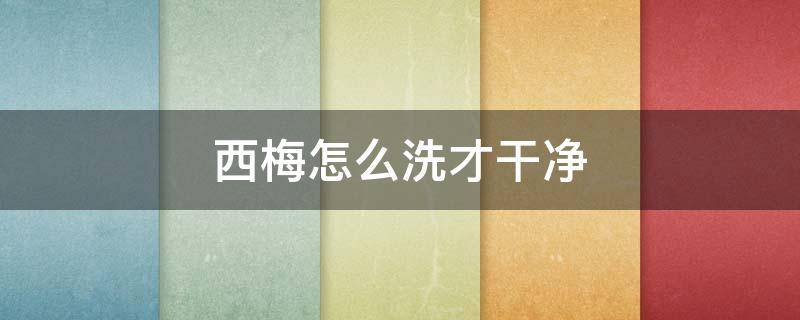 西梅怎么洗才干净（猕猴桃保鲜及储存方法）