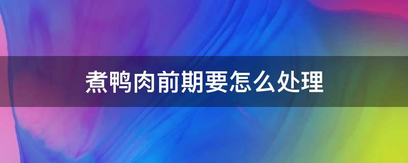煮鸭肉前期要怎么处理（煮鸭肉前期要怎么处理才好吃）