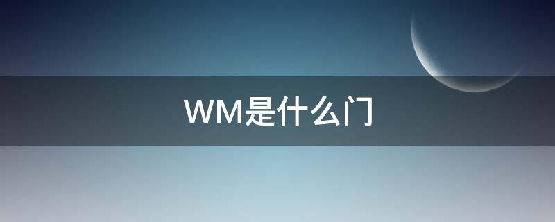 WM是什么门（wm是什么门的代号）
