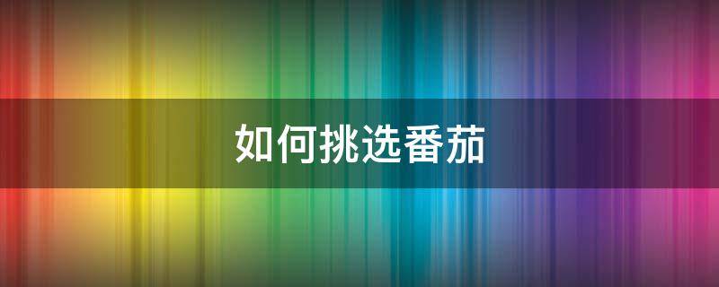 如何挑选番茄 如何挑选番茄苗