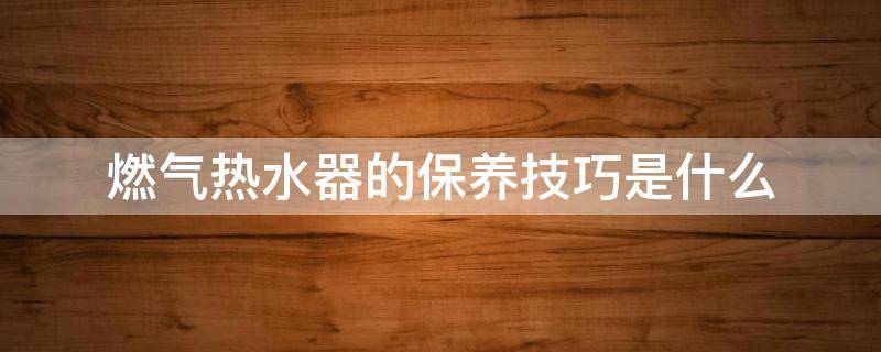 燃气热水器的保养技巧是什么（燃气热水器的保养技巧是什么样的）