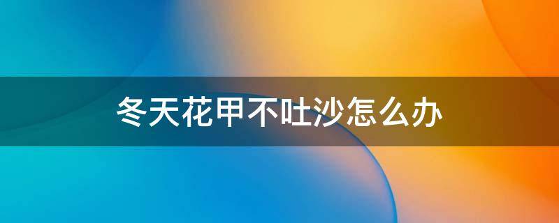 冬天花甲不吐沙怎么办（冬天花甲不张嘴怎么弄）