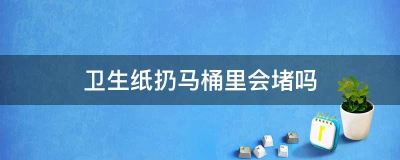卫生纸扔马桶里会堵吗（卫生纸扔马桶里会堵吗图片）