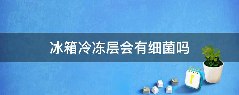 冰箱冷冻层会有细菌吗（冰箱冷冻层会滋生细菌吗）