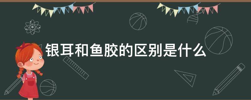 银耳和鱼胶的区别是什么 银耳和鱼胶哪个好
