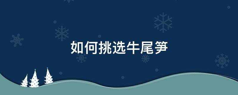 如何挑选牛尾笋 牛尾笋是什么