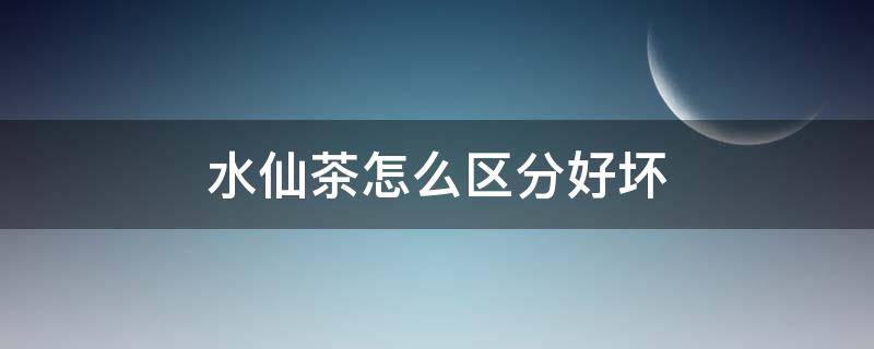 水仙茶怎么区分好坏 水仙茶鉴别好坏