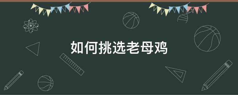 如何挑选老母鸡（怎么挑选老母鸡）