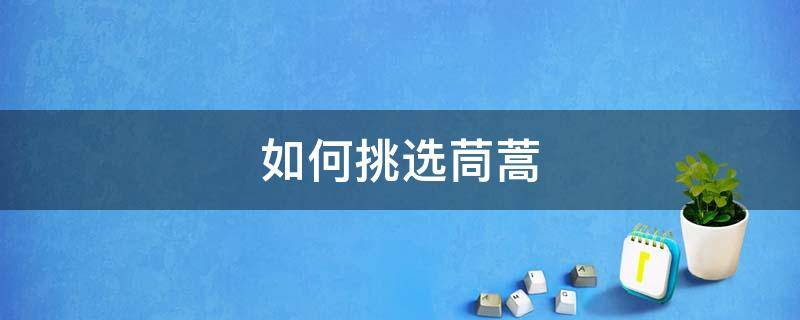如何挑选茼蒿 什么样的茼蒿好吃