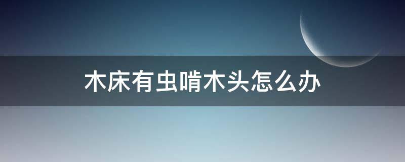 木床有虫啃木头怎么办（蛀木虫啃木头很大声怎么消灭）