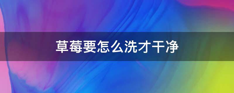 草莓要怎么洗才干净（草莓要怎么洗才干净视频）