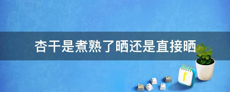 杏干是煮熟了晒还是直接晒（杏干直接晒干好吃吗）