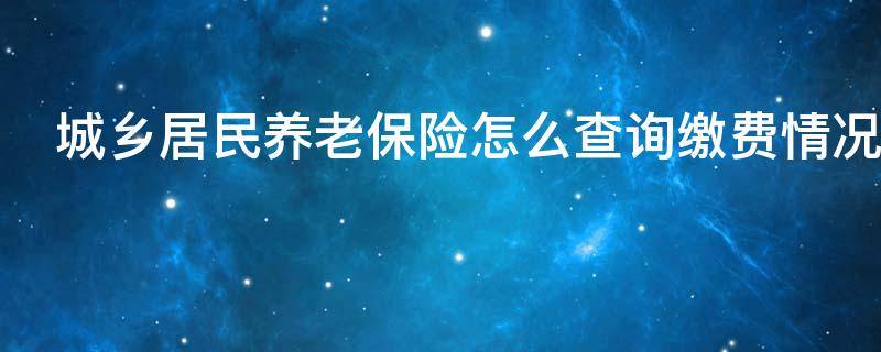 城乡居民养老保险怎么查询缴费情况（城乡居民养老保险怎么查询缴费情况表）