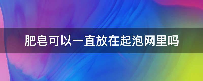 肥皂可以一直放在起泡网里吗 肥皂可以一直放在起泡网里吗
