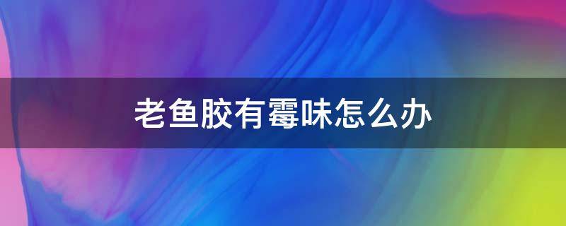 老鱼胶有霉味怎么办（老鱼胶有霉味怎么办还能吃吗）