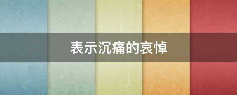 表示沉痛的哀悼（表示沉重哀悼）
