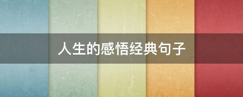 人生的感悟经典句子 游戏人生的感悟经典句子