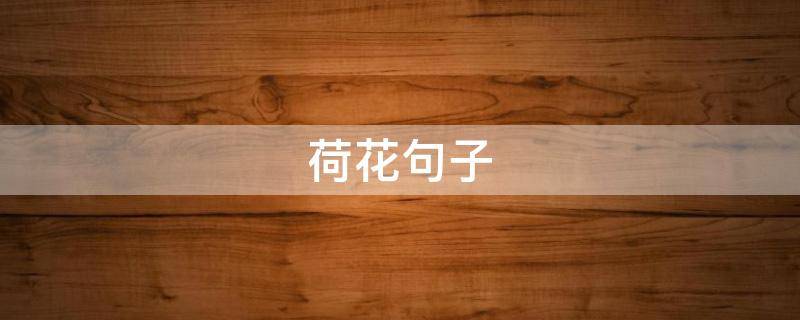 荷花句子 荷花句子经典短句