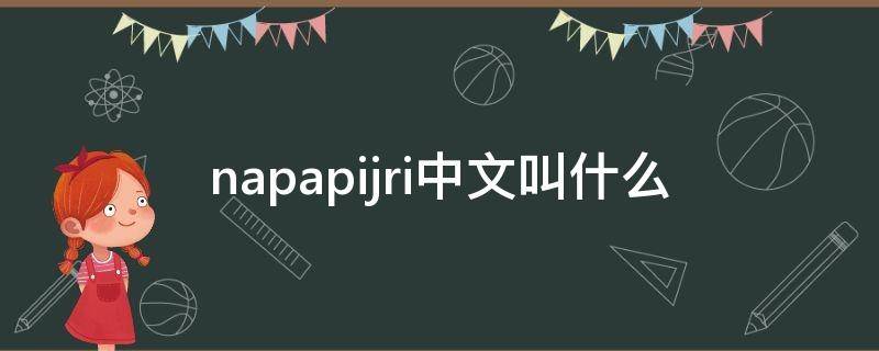napapijri中文叫什么 napapijri是什么意思