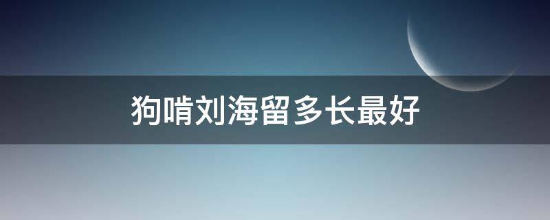 狗啃刘海留多长最好（狗啃刘海用什么定型）