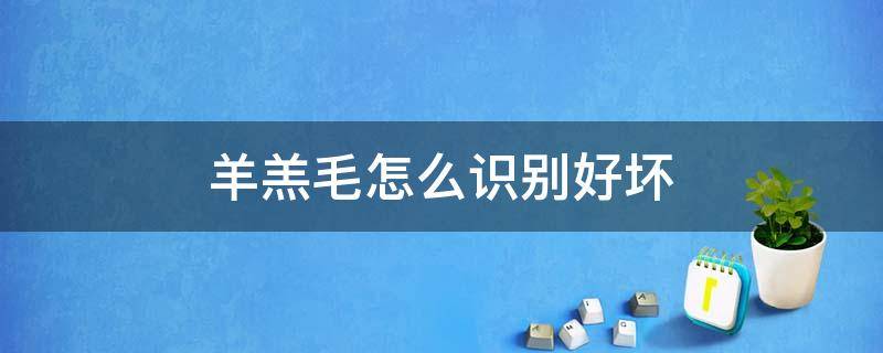 羊羔毛怎么识别好坏（羊羔毛怎么辨别好坏）