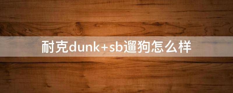 耐克dunk（耐克dunk low系列介绍）
