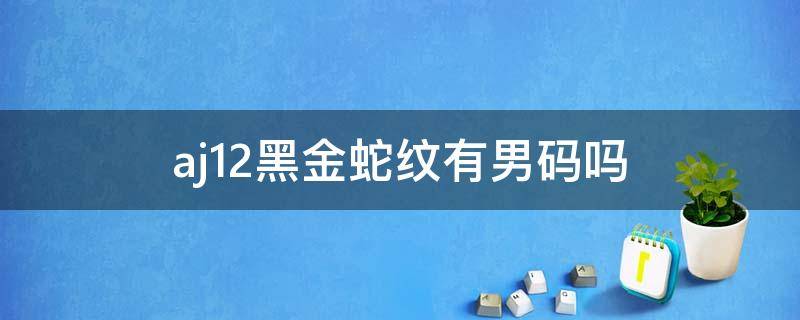 aj12黑金蛇纹有男码吗 aj12 黑金