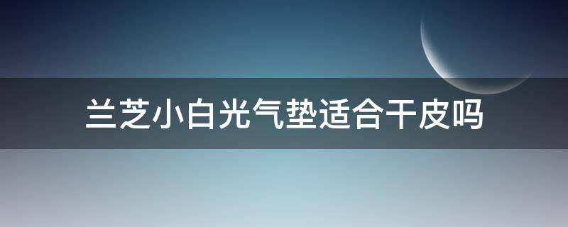 兰芝小白光气垫适合干皮吗 兰芝小白光气垫适合干皮吗