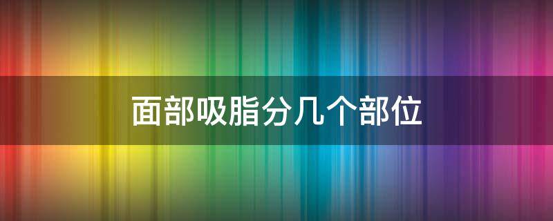 面部吸脂分几个部位 面部吸脂有几个部位