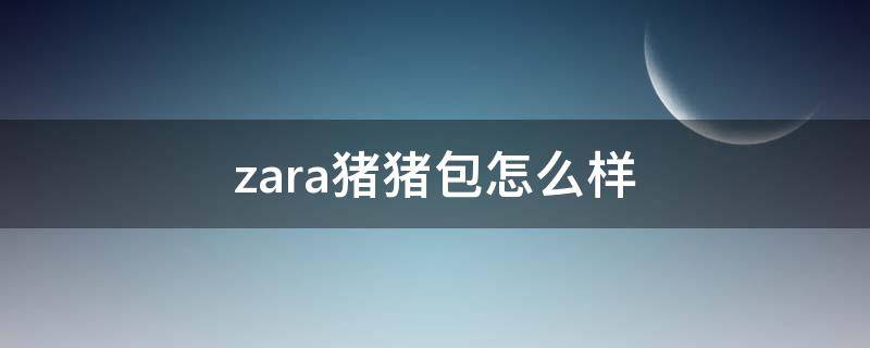 zara猪猪包怎么样（zara小猪包）