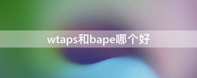 wtaps和bape哪个好 bape和wgm有什么关系