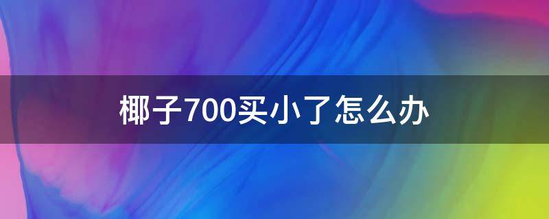 椰子700买小了怎么办（椰子700v2买大了怎么办）
