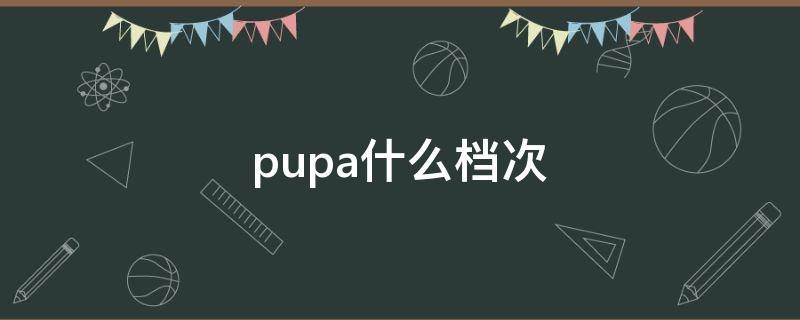 pupa什么档次（pupa是什么牌子）