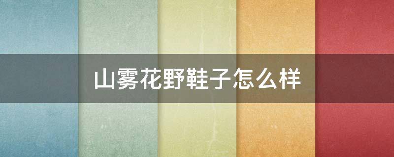 山雾花野鞋子怎么样 山花雾野鞋官网