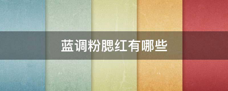 蓝调粉腮红有哪些（蓝调粉腮红有哪些品牌）
