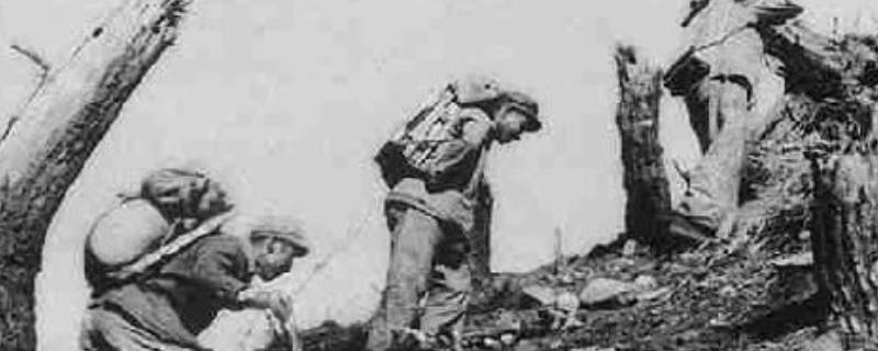 537高地是不是上甘岭（537高地是哪个电影）