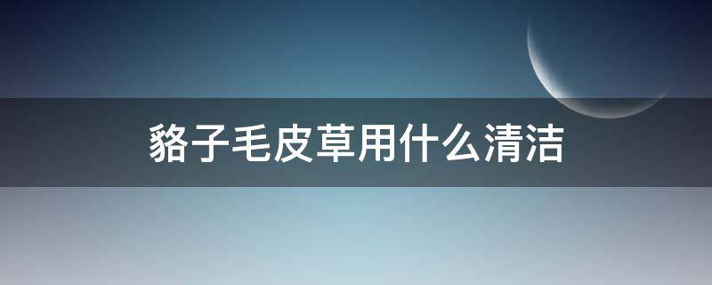 貉子毛皮草用什么清洁 貉子毛皮草用什么清洁剂好