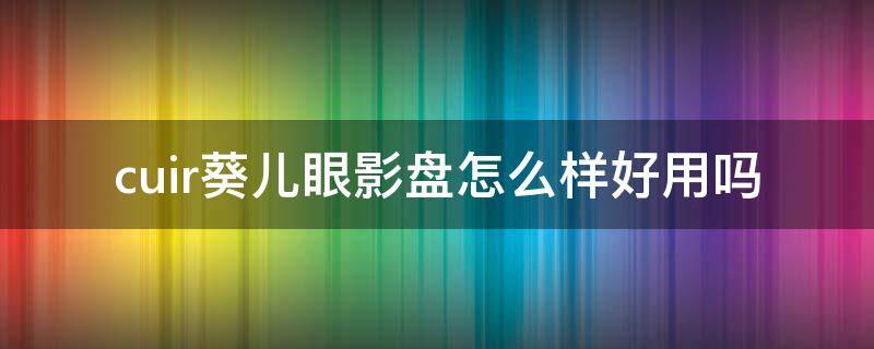 cuir葵儿眼影盘怎么样好用吗（葵儿东西好用吗）