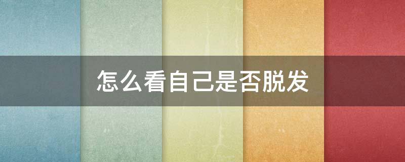 怎么看自己是否脱发（怎么看自己是否脱发了）