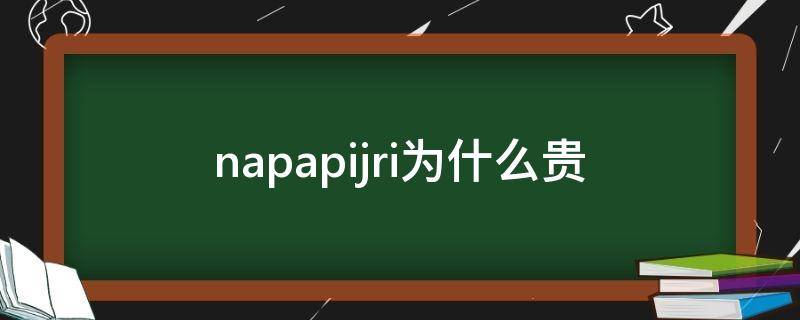 napapijri为什么贵 napapijri这牌子如何