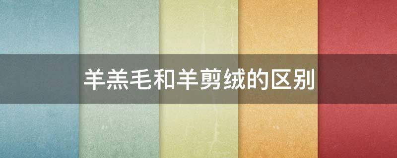 羊羔毛和羊剪绒的区别（羊羔毛和羊剪绒有什么区别）