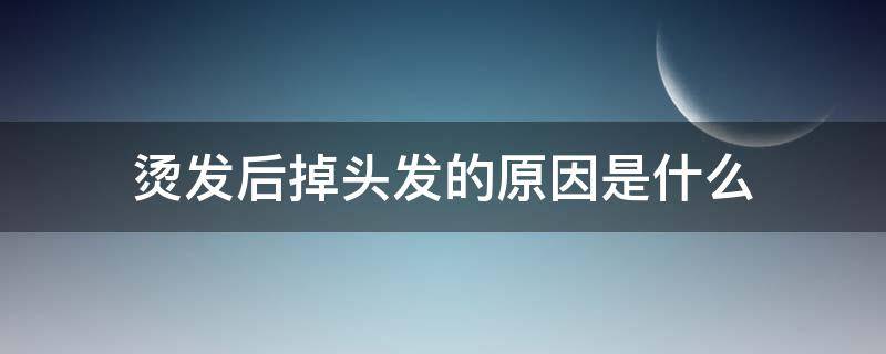 烫发后掉头发的原因是什么（烫发后掉头发的原因是什么呢）