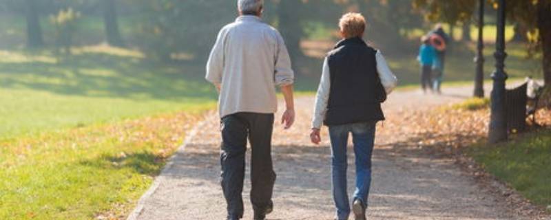 2公里多少步数（2公里多少步数算正常）