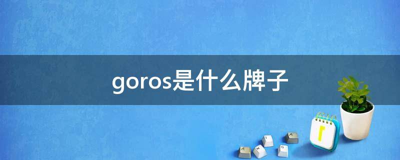 goros是什么牌子（goros是什么牌子的车）