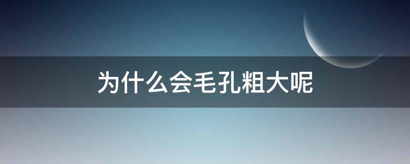 为什么会毛孔粗大呢 为什么毛孔粗大呢怎么改善