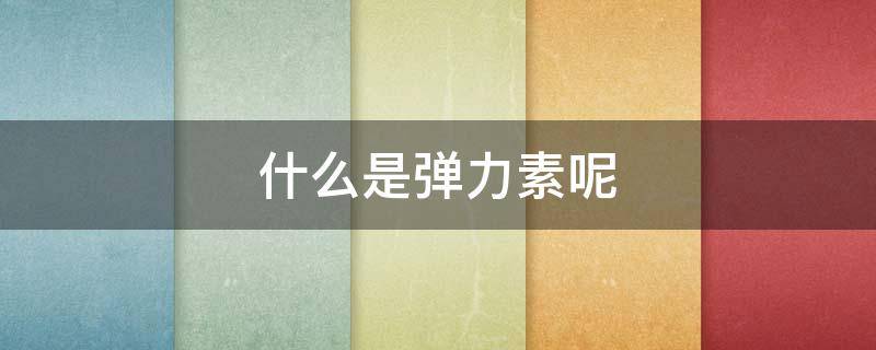 什么是弹力素呢 弹力素是什么东西