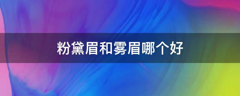 粉黛眉和雾眉哪个好（粉黛眉和雾眉图片对比）