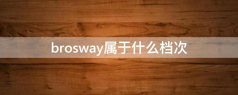 brosway属于什么档次 bronow是什么牌子