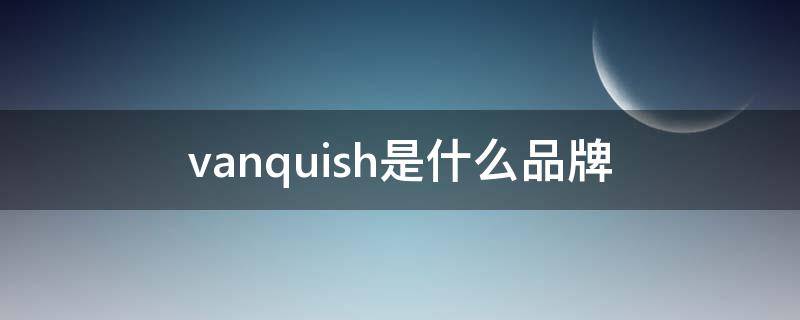 vanquish是什么品牌（vanessahogan是什么牌子）